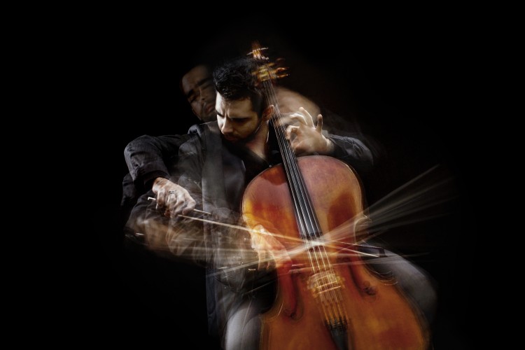 大提琴的重要组成部分有哪些