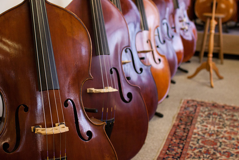 对乐器多一些了解，什么是低音提琴？