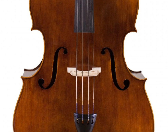 低音提琴面板