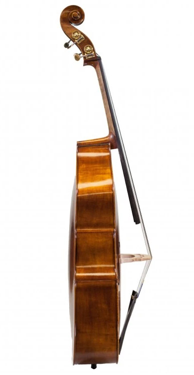 低音提琴侧板