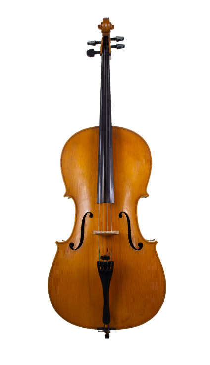 川料大提琴