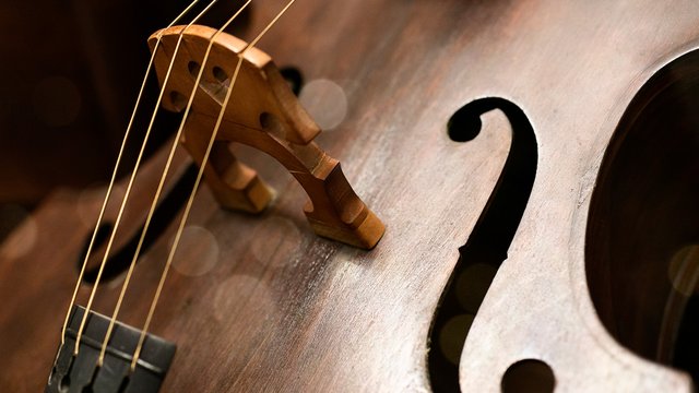 大提琴调音的七个技巧