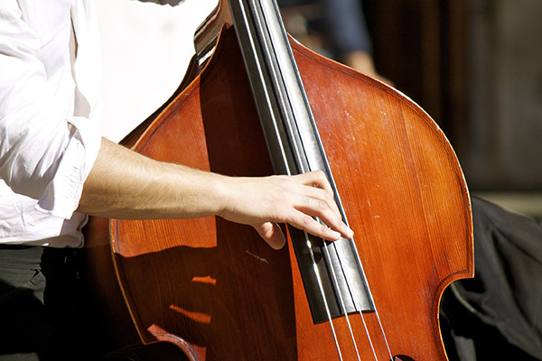 关于低音提琴学习的一些思考
