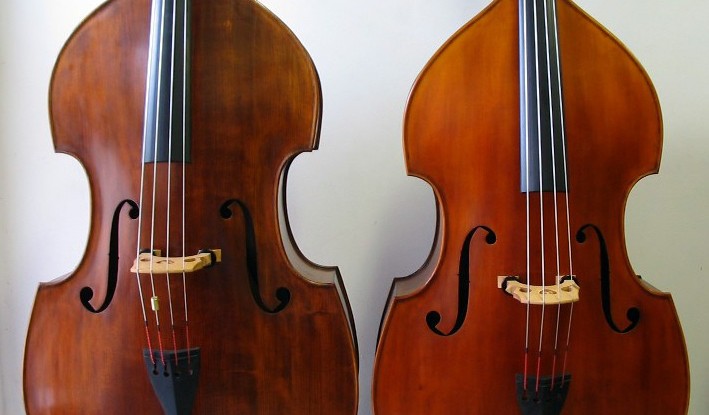 低音提琴的发展简史