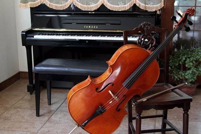 学好学精大提琴的几个要素