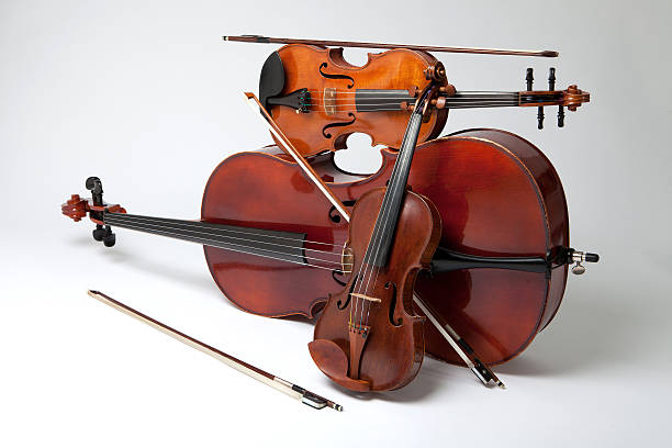 上海大提琴老师哪里有，收费标准是什么？