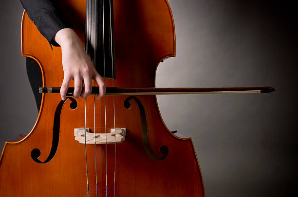聊聊关于低音提琴运弓的一些体会