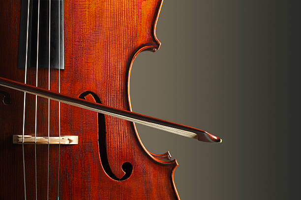 如何选择适合的大提琴弦