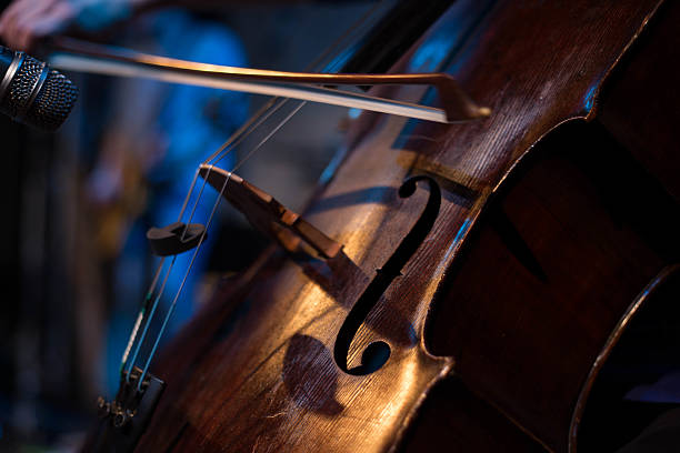 学习低音提琴有没有竞争优势？