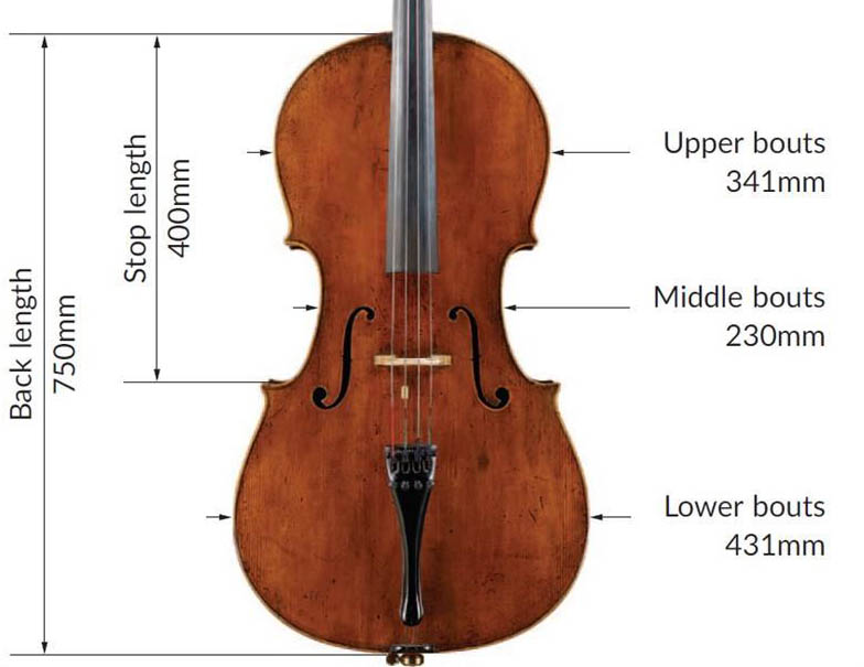 塞洛尼亚托1737 大提琴尺寸图