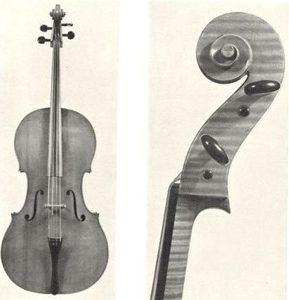 那不勒斯的 Gennaro Gagliano 的大提琴