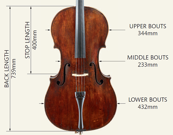 Goffriller大提琴尺寸图