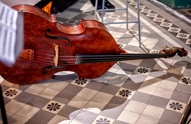 低音提琴初学者的四个常见问题