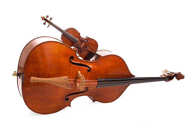 大提琴学习方式有哪些