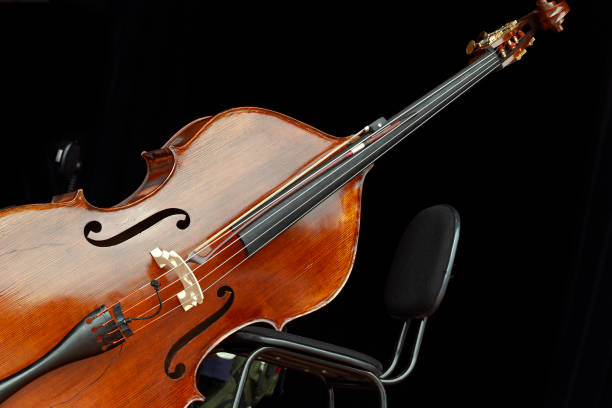 学习低音提琴的好处有哪些？