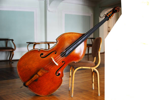 乐器界的庞然大物，倍大提琴为什么比你还高？