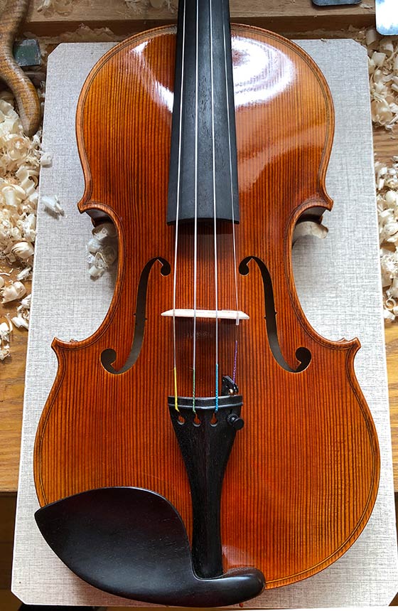 专业级4/4小提琴，意大利云杉面板