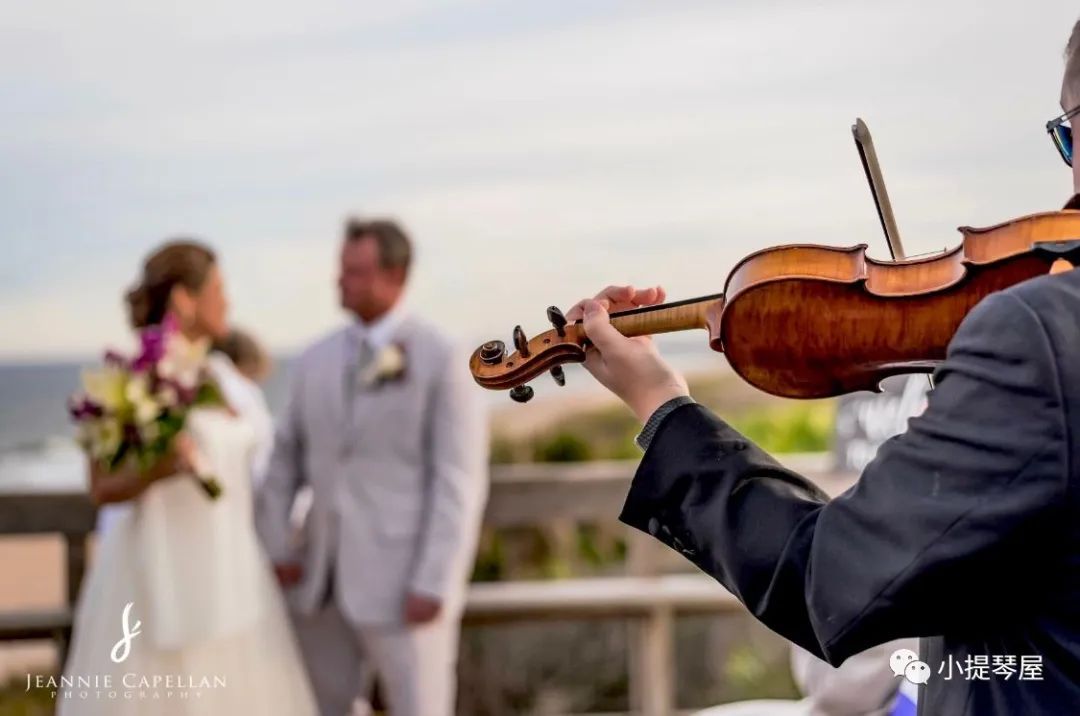 最受欢迎的婚礼小提琴协奏曲《D大调卡农》